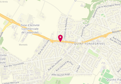 Plan de Optic 2000, 6 Route de Castres, 31130 Quint-Fonsegrives