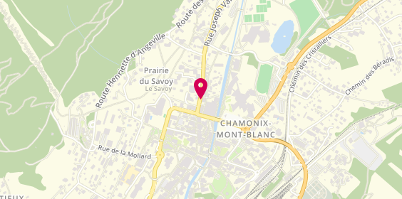 Plan de Iris Optique, 294 Rue Joseph Vallot, 74400 Chamonix-Mont-Blanc