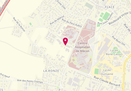 Plan de Lissac, Médic Center
119 Rue François Xavier Bichat, 71850 Charnay-lès-Mâcon