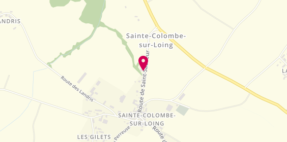 Plan de Gb Optique, Route Saint Sauveur, 89520 Treigny