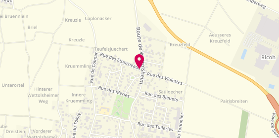 Plan de Opti'dom, 1 Rue des Étourneaux, 68420 Eguisheim